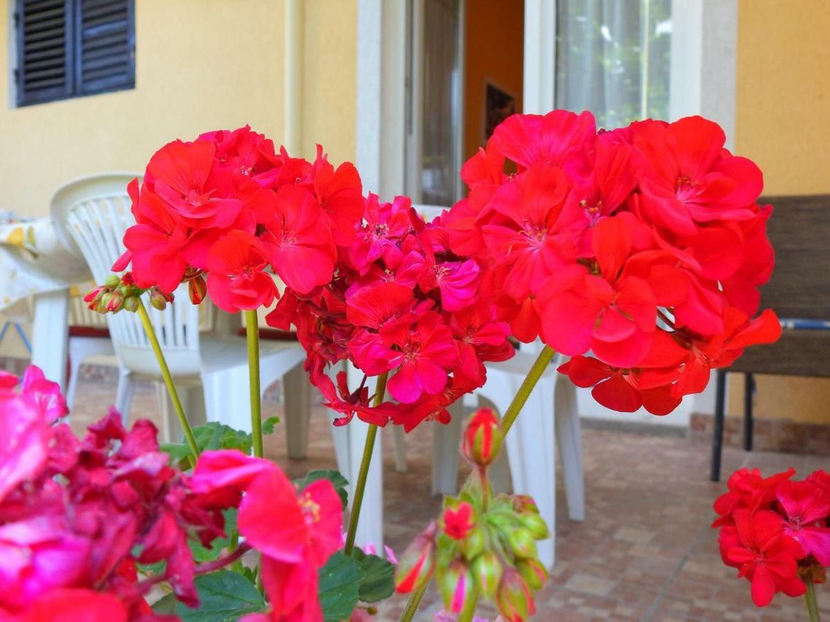 Apartment Girasole Rovinj Eksteriør billede
